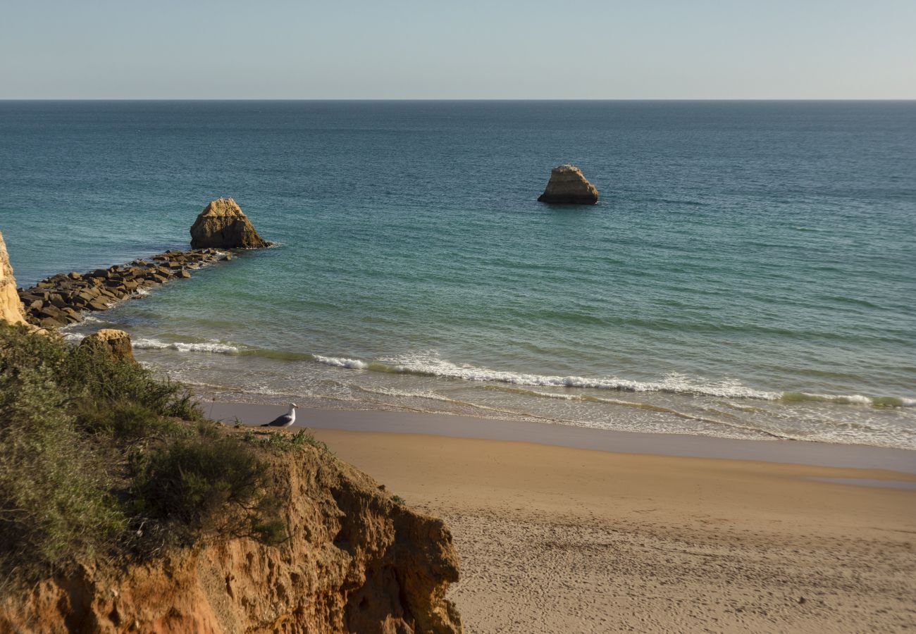 Appartement à Portimão - Hopstays - Portimão Tarik